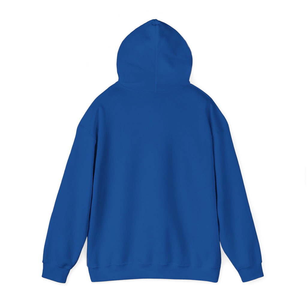"The Path Is Code" Motivational Programming Mountaintop Pathway Graphic Design Hoodie