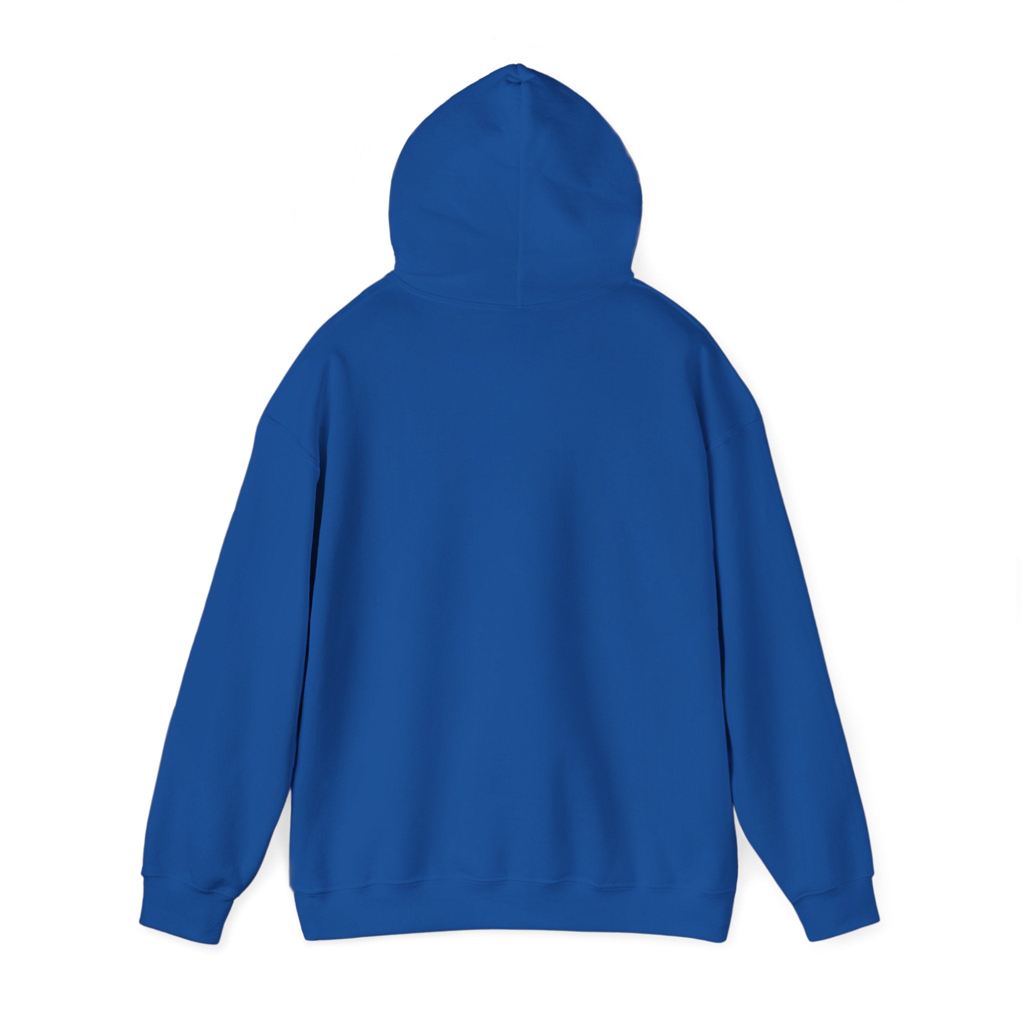"The Path Is Code" Motivational Programming Mountaintop Pathway Graphic Design Hoodie