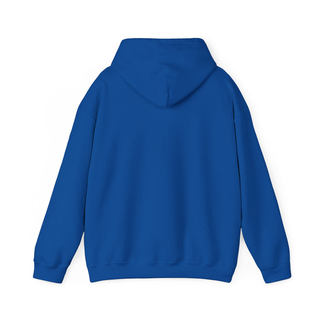 "The Path Is Code" Motivational Programming Mountaintop Pathway Graphic Design Hoodie