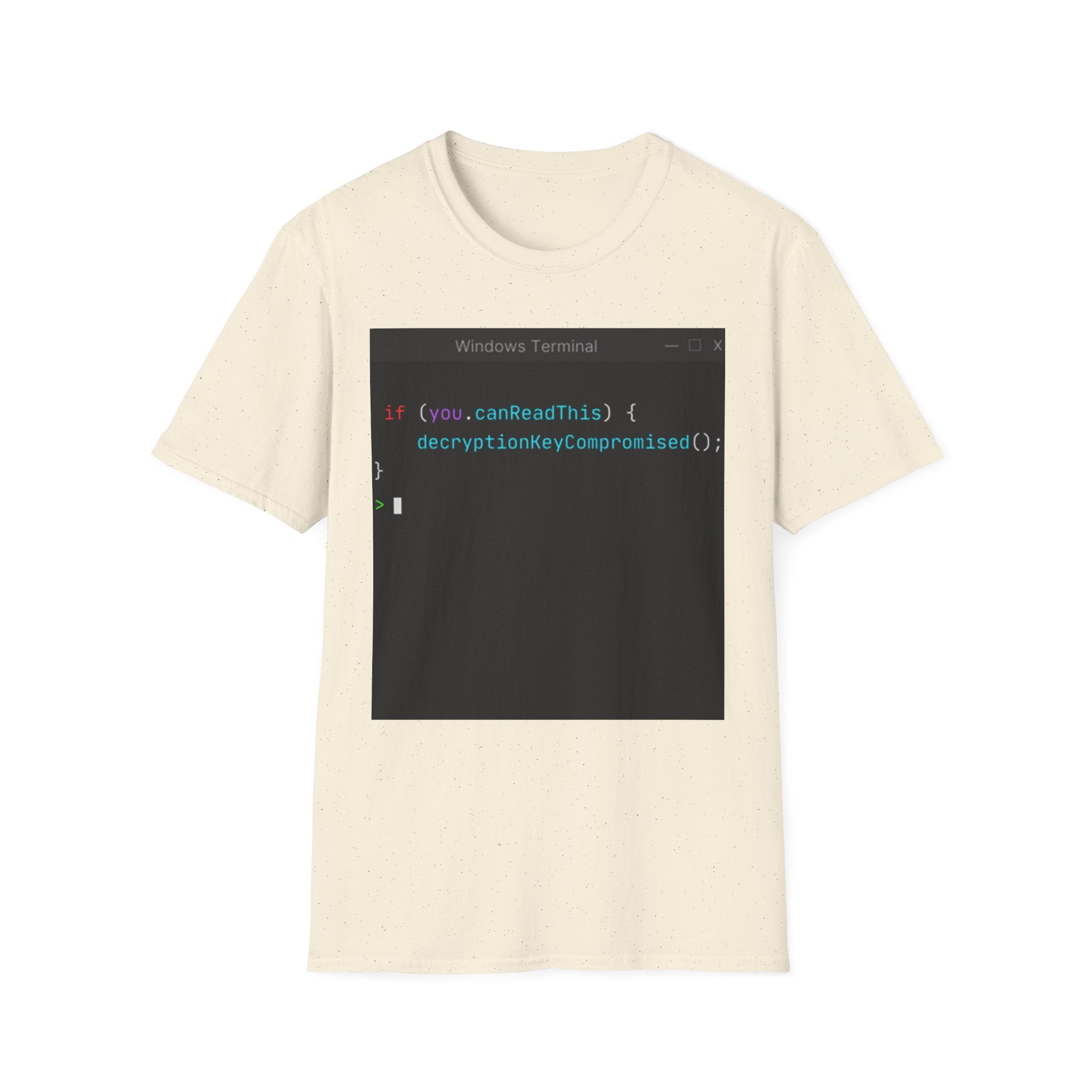 "if (you.canReadThis) { decryptionKeyCompromised(); }" Coding Terminal Tech Humor Graphic T-Shirt