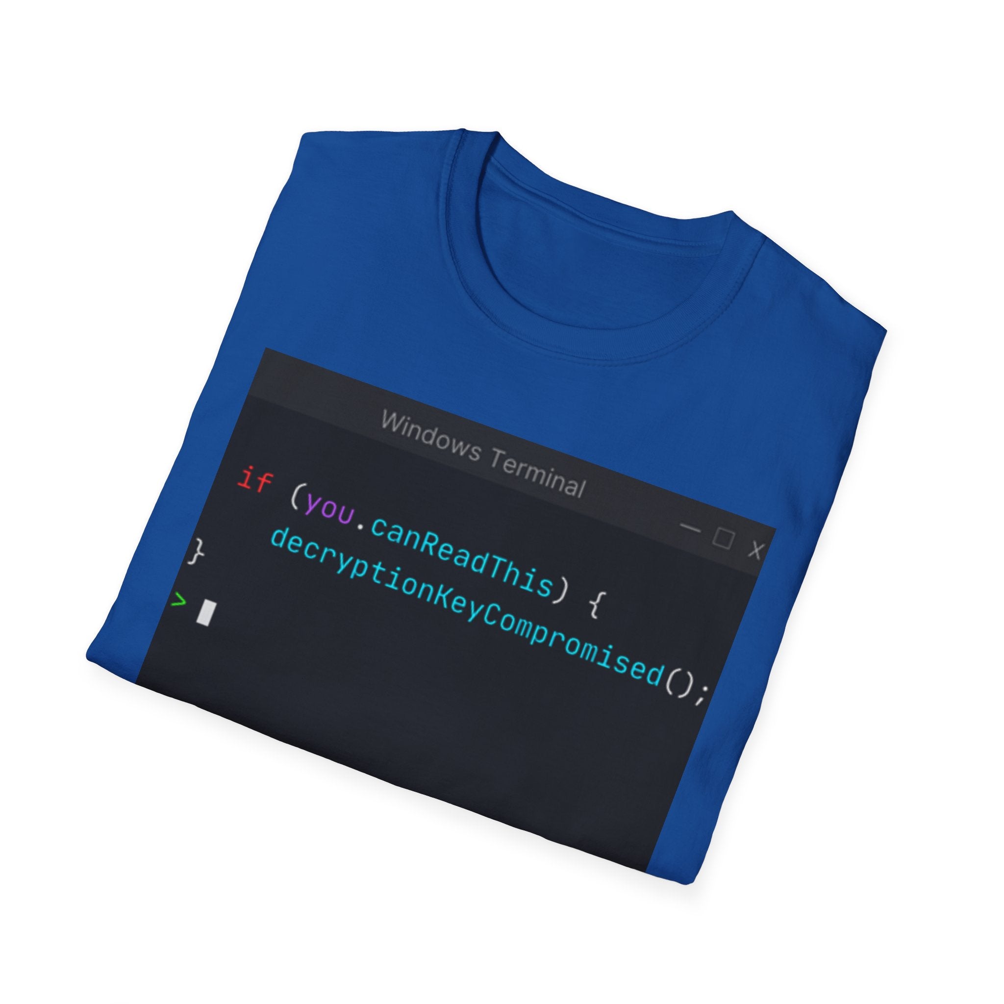 "if (you.canReadThis) { decryptionKeyCompromised(); }" Coding Terminal Tech Humor Graphic T-Shirt