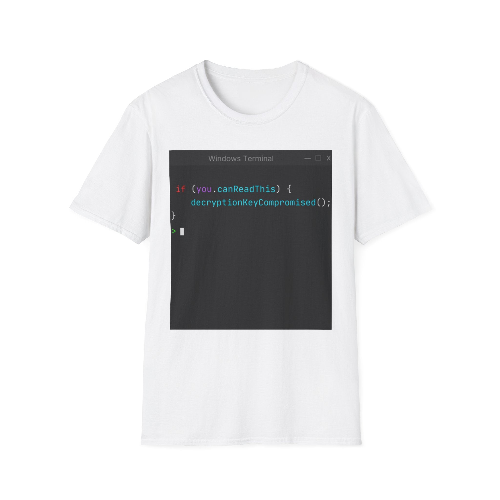 "if (you.canReadThis) { decryptionKeyCompromised(); }" Coding Terminal Tech Humor Graphic T-Shirt