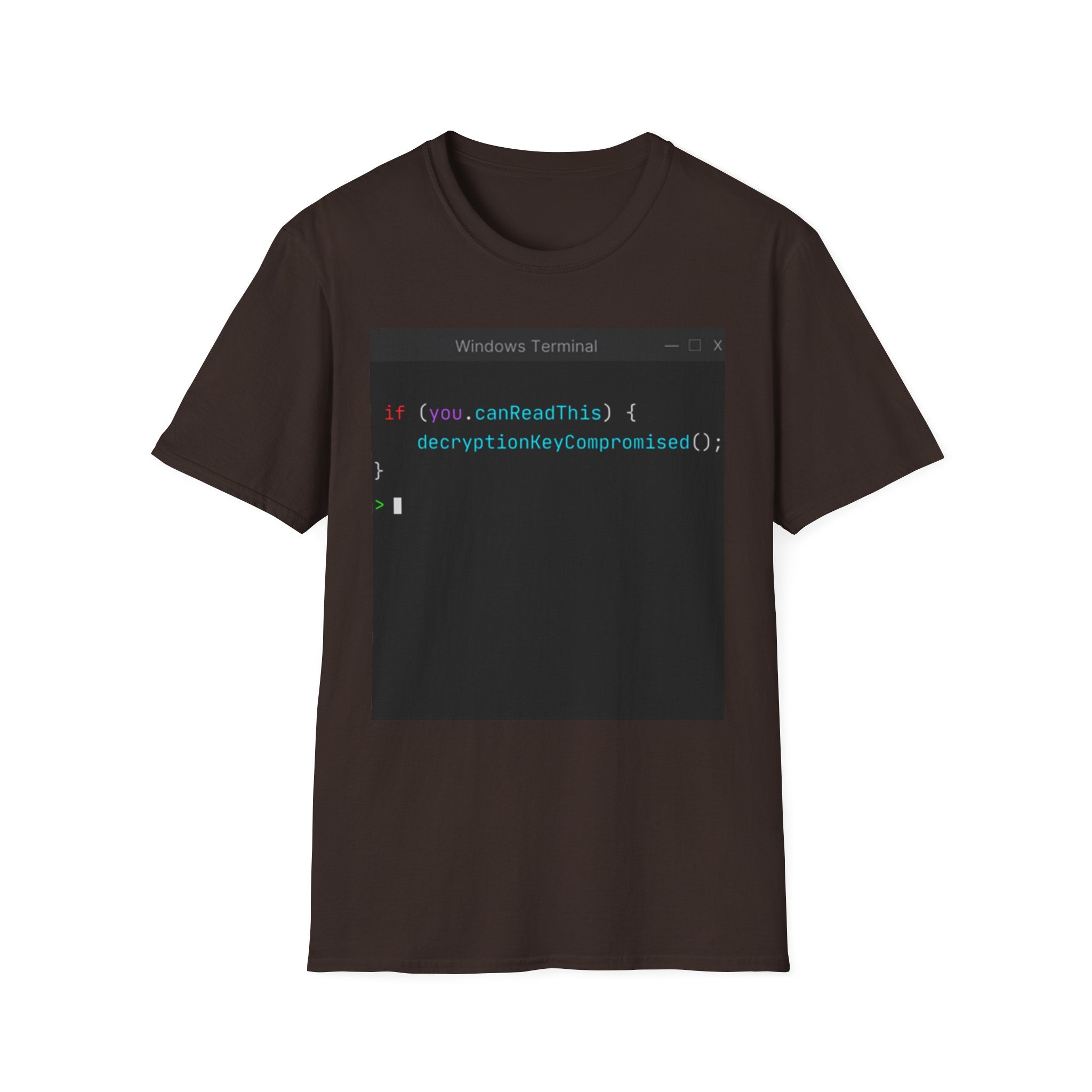 "if (you.canReadThis) { decryptionKeyCompromised(); }" Coding Terminal Tech Humor Graphic T-Shirt
