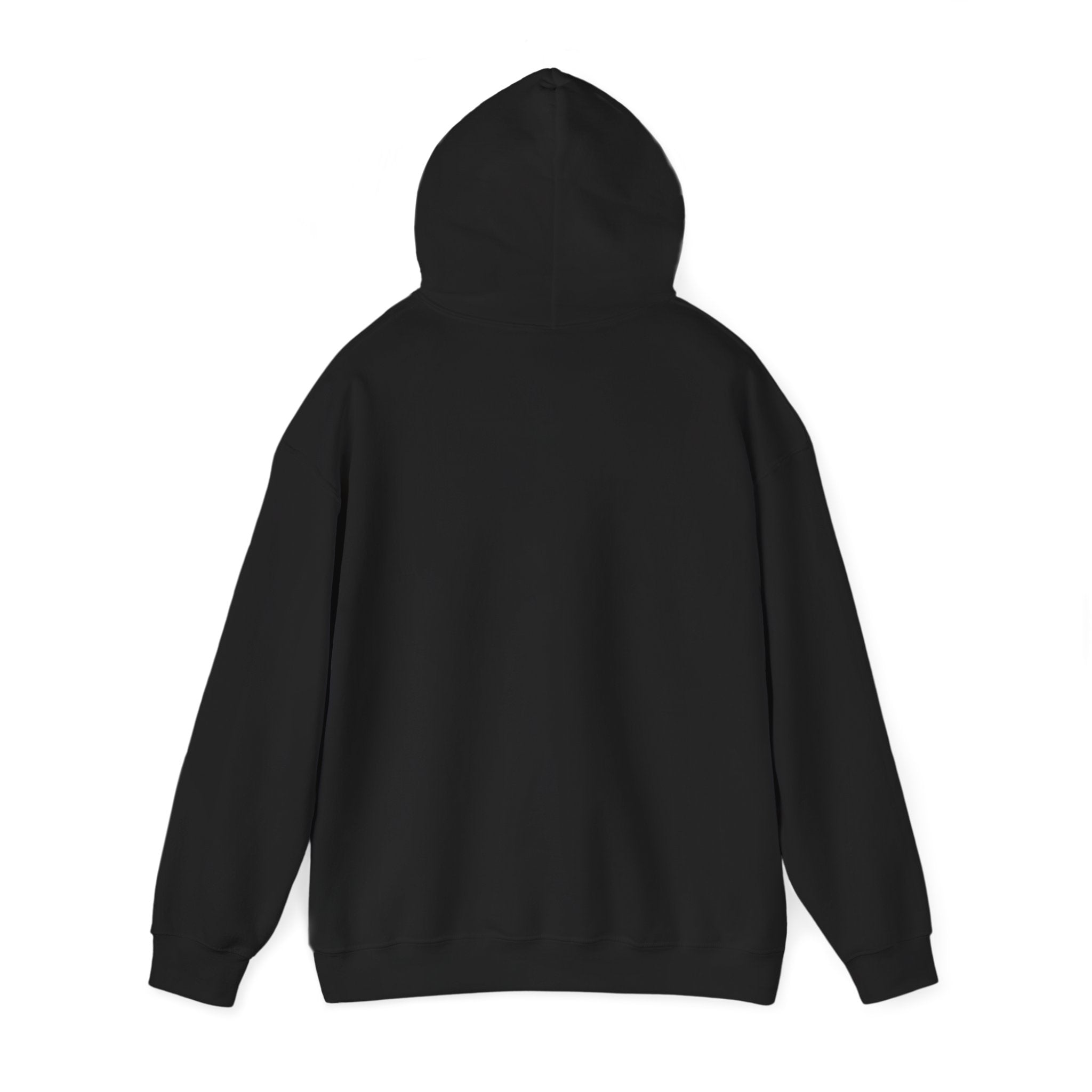 "The Path Is Code" Motivational Programming Mountaintop Pathway Graphic Design Hoodie