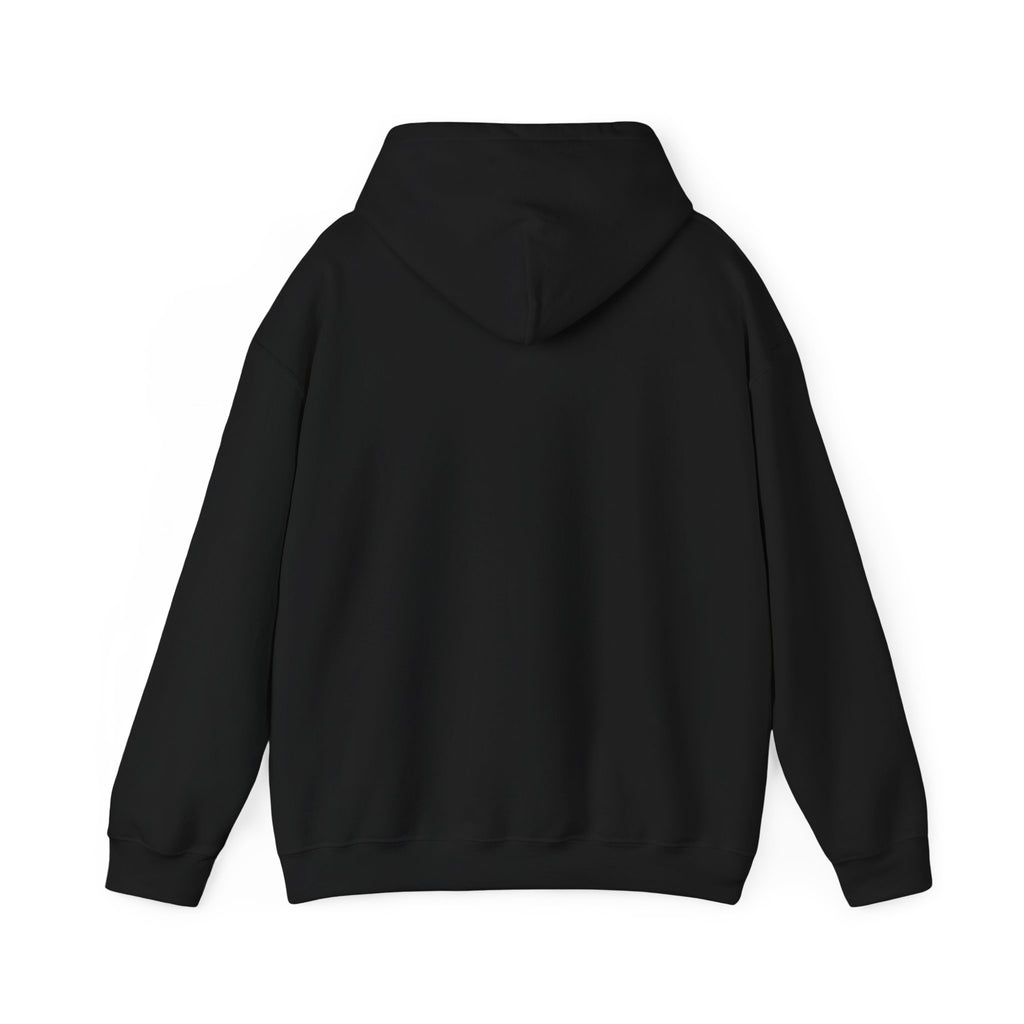 "The Path Is Code" Motivational Programming Mountaintop Pathway Graphic Design Hoodie