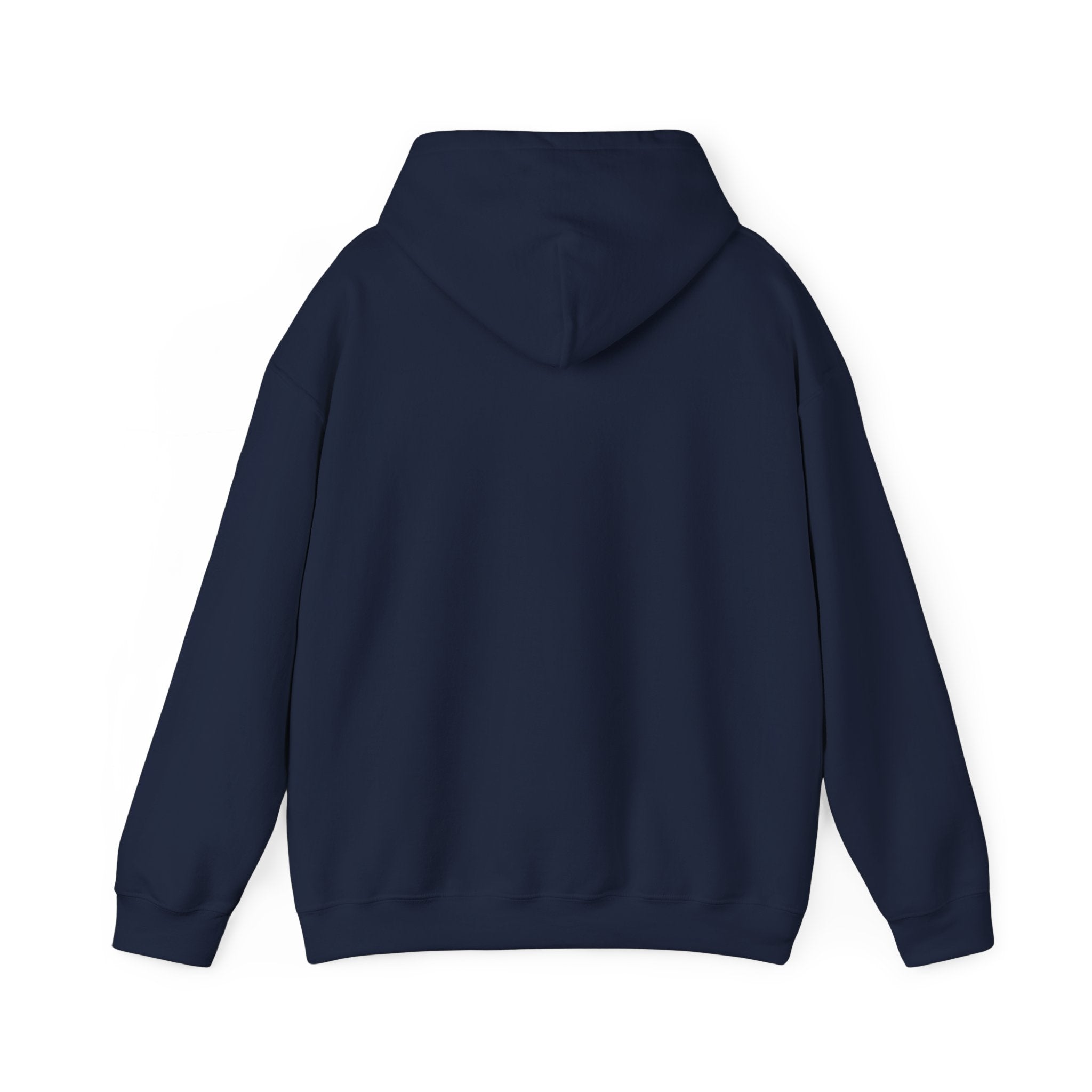 "The Path Is Code" Motivational Programming Mountaintop Pathway Graphic Design Hoodie