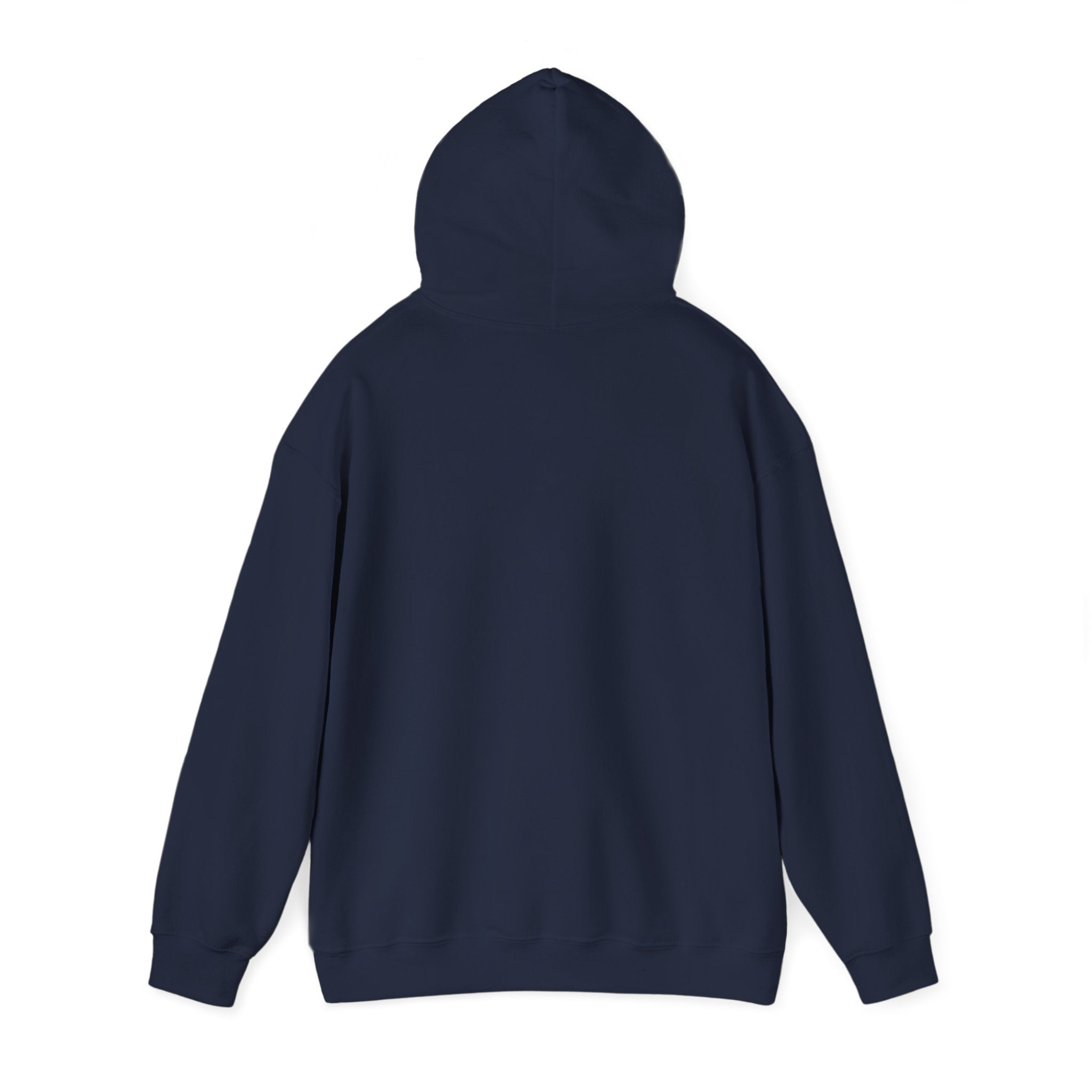 "The Path Is Code" Motivational Programming Mountaintop Pathway Graphic Design Hoodie